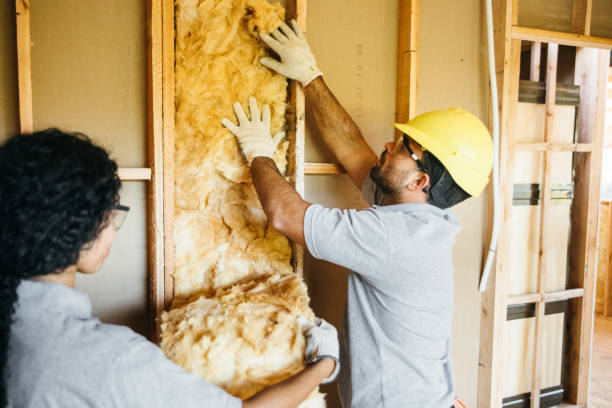 Best Reflective Insulation  in Mount Healthy Heights, OH